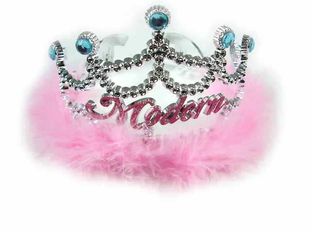 Silver Crystal Wing Clip
