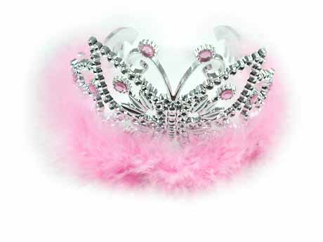 Silver Crystal Wing Clip